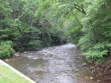Beaverdam Creek